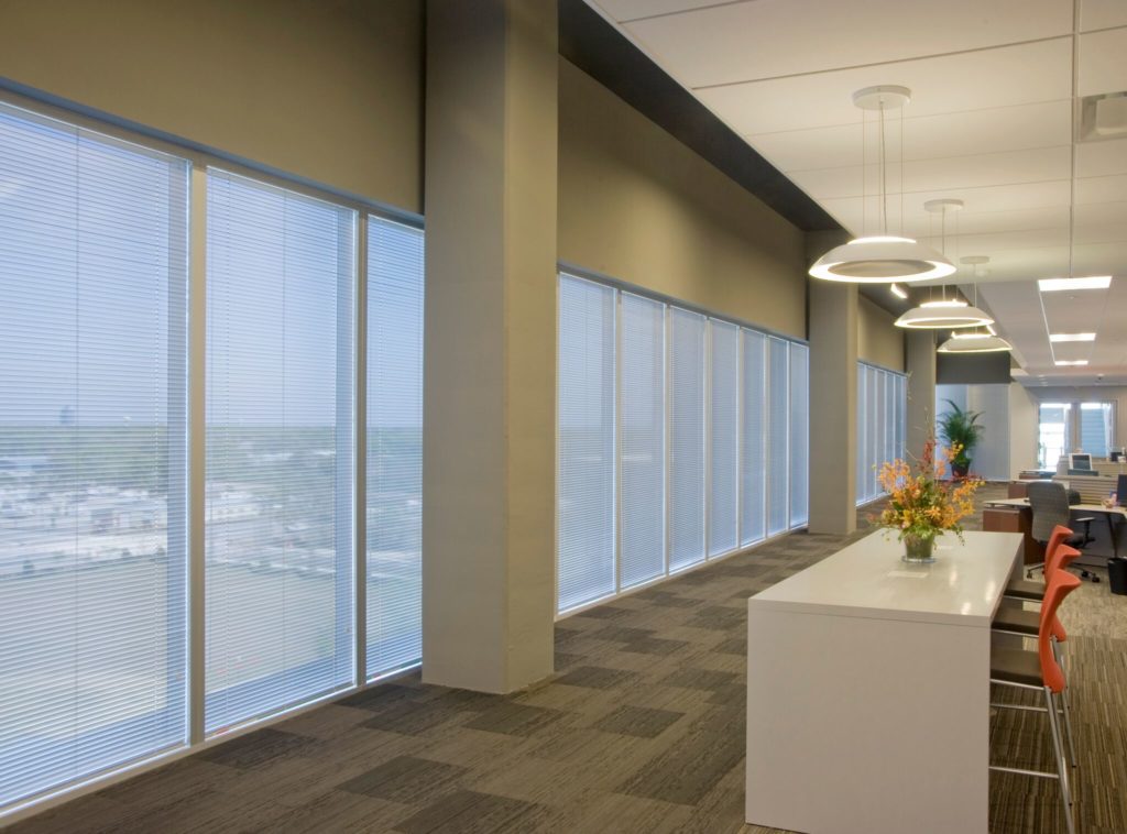 Raleigh Commercial Horizontal Blinds Office