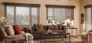 Neutral brown roll shades for your fall window treatments