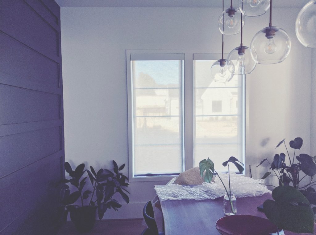 Living Room Window Shades