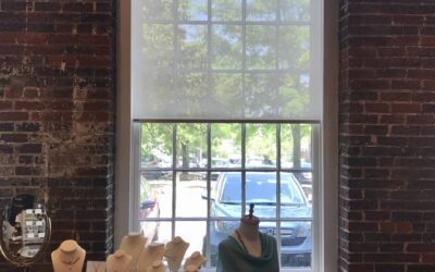 An Eco-Friendly Solution: How Solar Shades Can Enhance Your Storefront