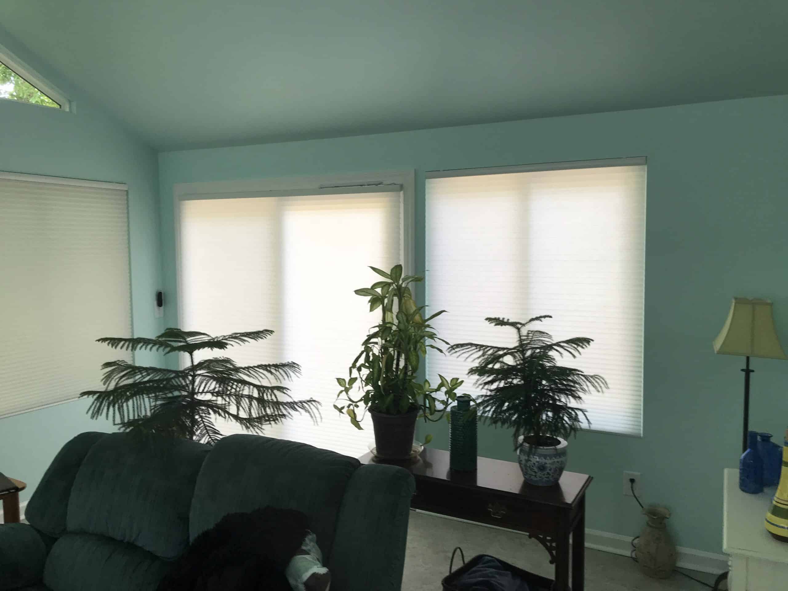 cellular shades from Made in the Shade Raleigh